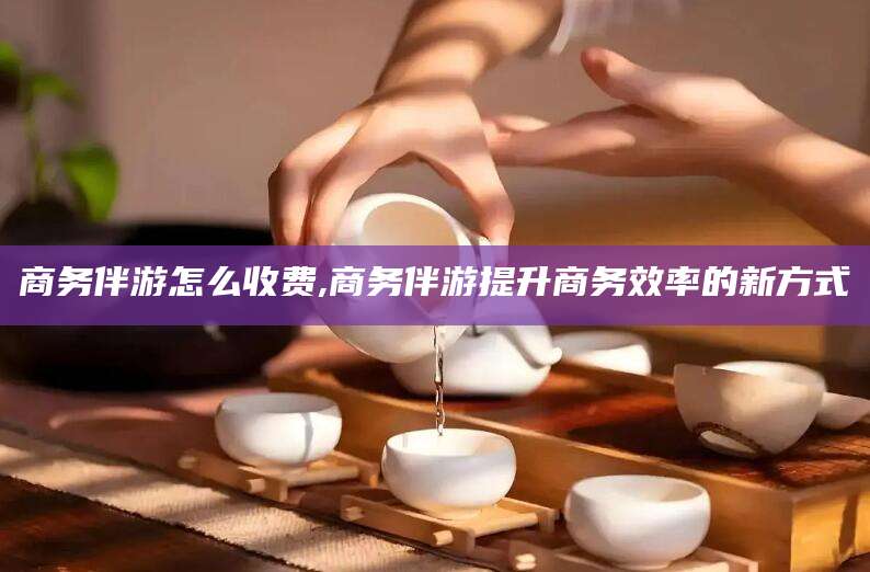 启东商务伴游怎么收费,商务伴游提升商务效率的新方式